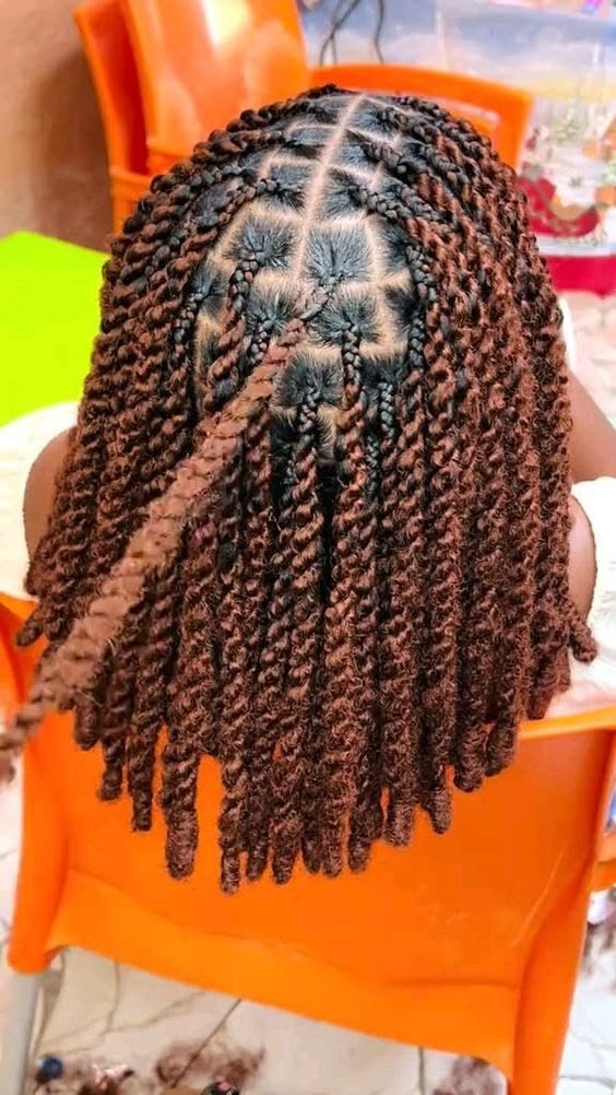 Protective braids style